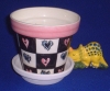 Image from Product Catalogue