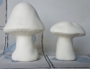 Image from Product Catalogue