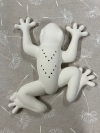Image from Product Catalogue