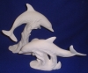 Image from Product Catalogue