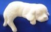 Image from Product Catalogue