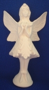Image from Product Catalogue