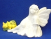 Image from Product Catalogue