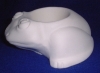 Image from Product Catalogue