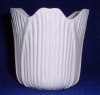 Image from Product Catalogue