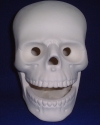 Image from Product Catalogue