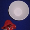 Image from Product Catalogue